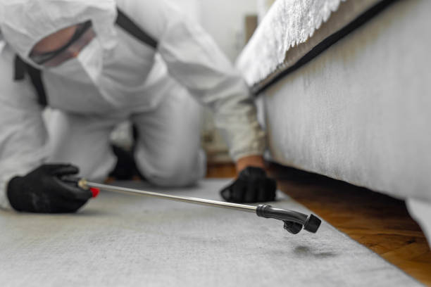 Professional Bed Bug Control technician working in Bay Minette, AL