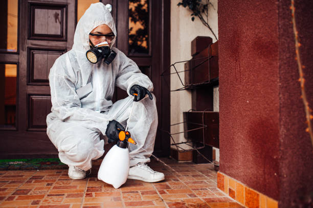 Reliable Bed Bug Control contractor in Bay Minette, AL by Nex Pest Control