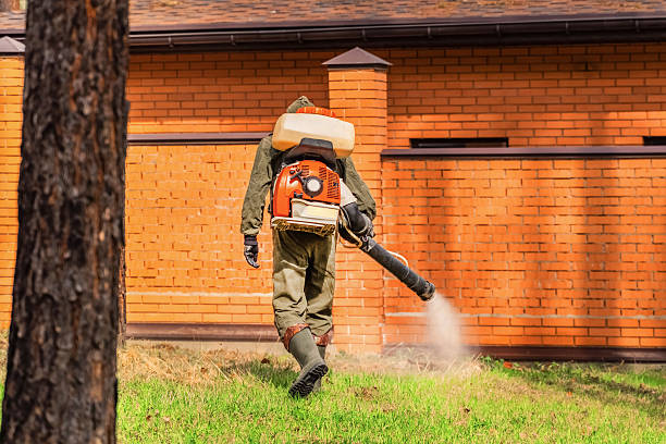 Trusted Bed Bug Control service in Bay Minette, AL - Nex Pest Control